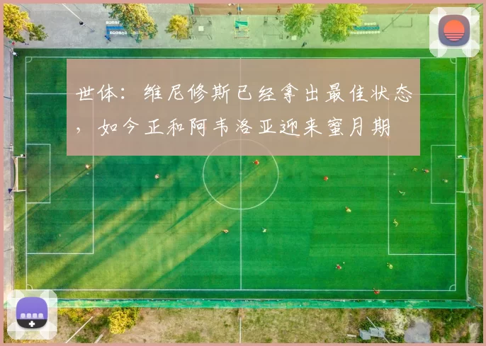 世体：维尼修斯已经拿出最佳状态，如今正和阿韦洛亚迎来蜜月期