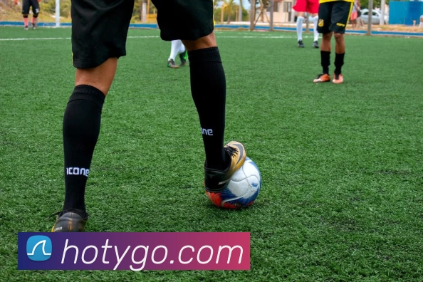 海鸥体育APP 封面图